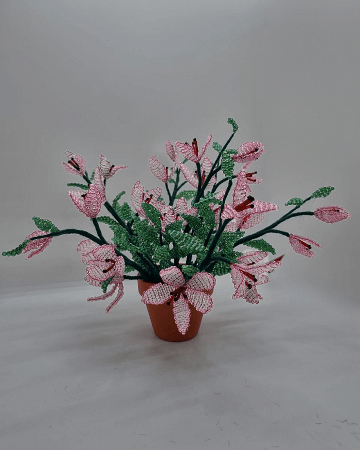 magnolie handmade